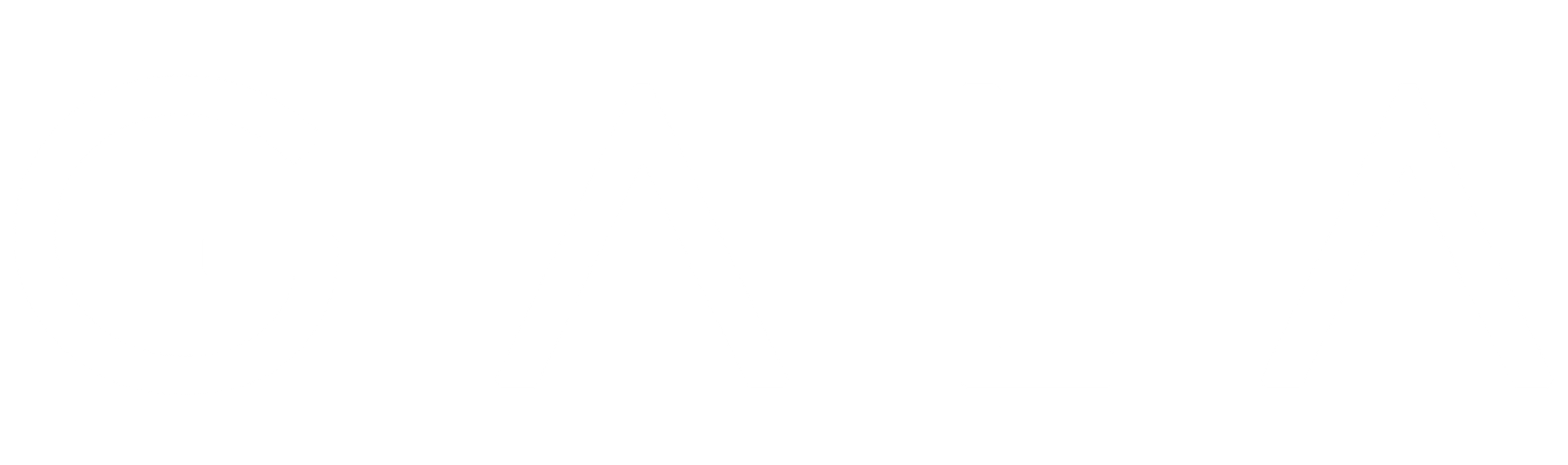 GALA Shoes